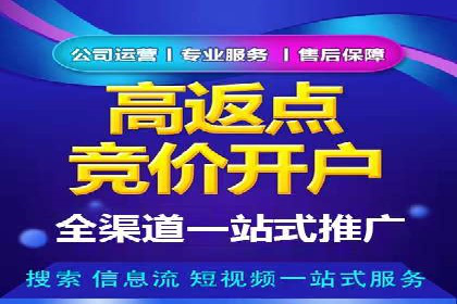 百度推广代理的投放策略及效果评估案例